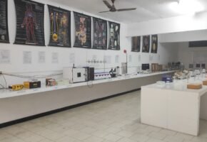 WhatsApp Image 2026-04-02 at 2.40.46 PM